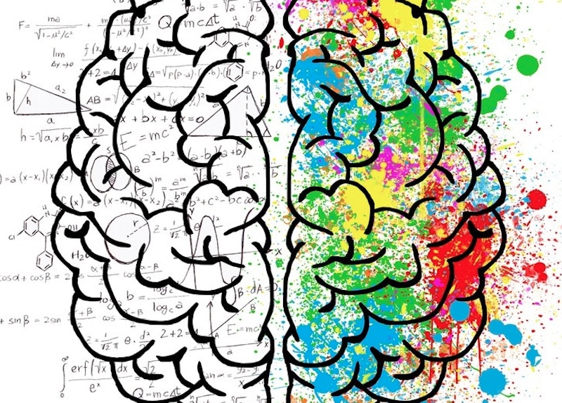 drawing of brain with math formulas all around the brain