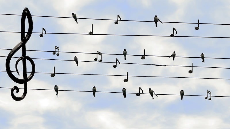 Music written in powerlines