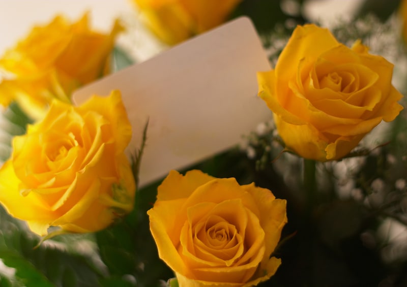 Yellow roses with apology card